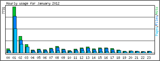 Hourly usage