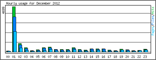 Hourly usage