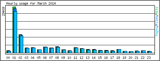 Hourly usage