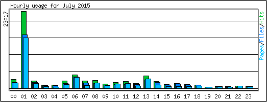 Hourly usage