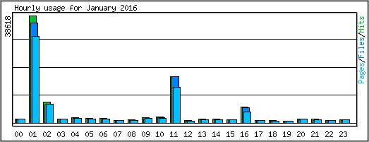 Hourly usage