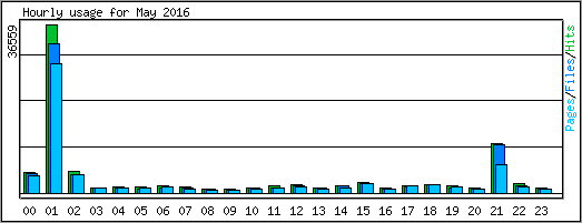 Hourly usage