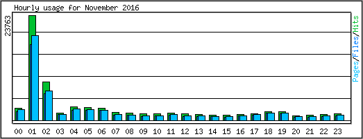 Hourly usage