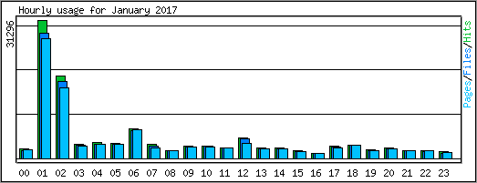 Hourly usage