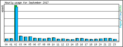 Hourly usage