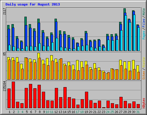 Daily usage for August 2013