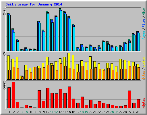 Daily usage for January 2014