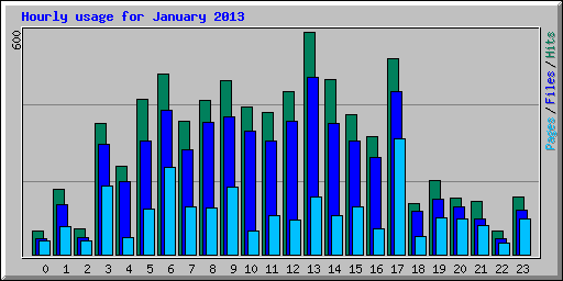Hourly usage for January 2013