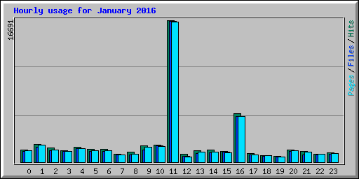 Hourly usage for January 2016