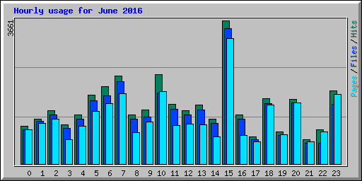 Hourly usage for June 2016