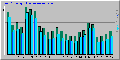 Hourly usage for November 2016